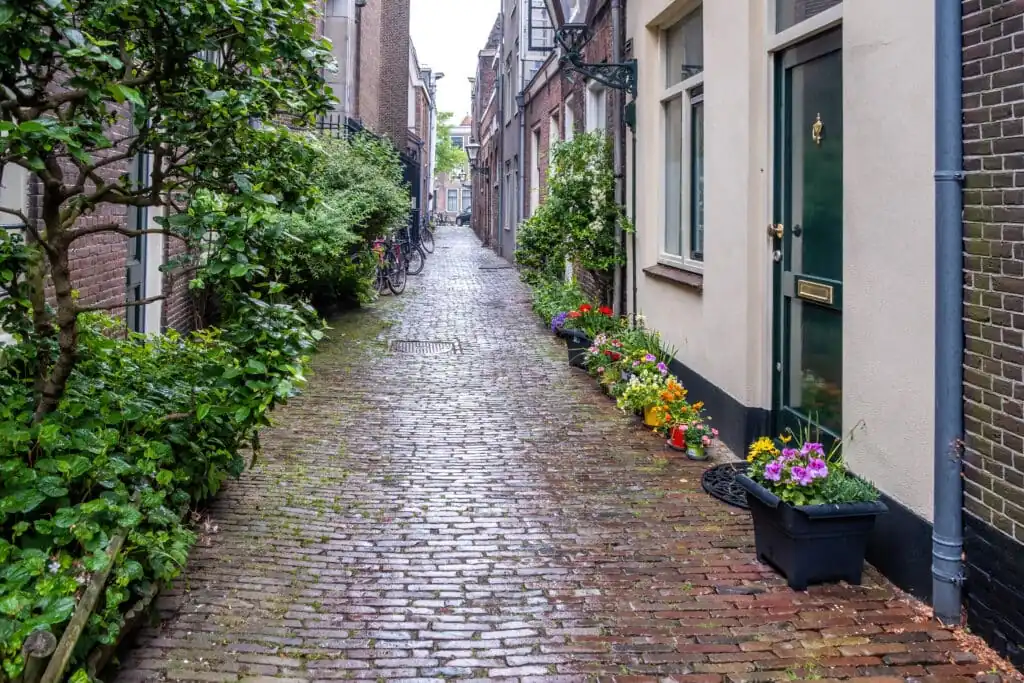 Huurwoning in Leiden Bos- en Gasthuisdistrict
