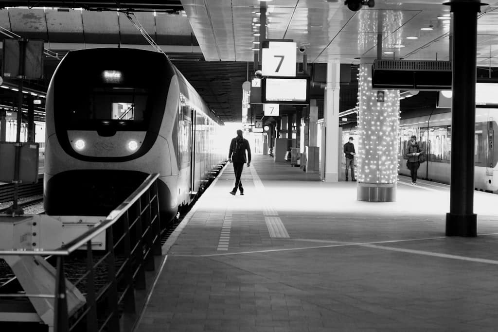 Brede boomrijke laan in het Statenkwartier Den Haag