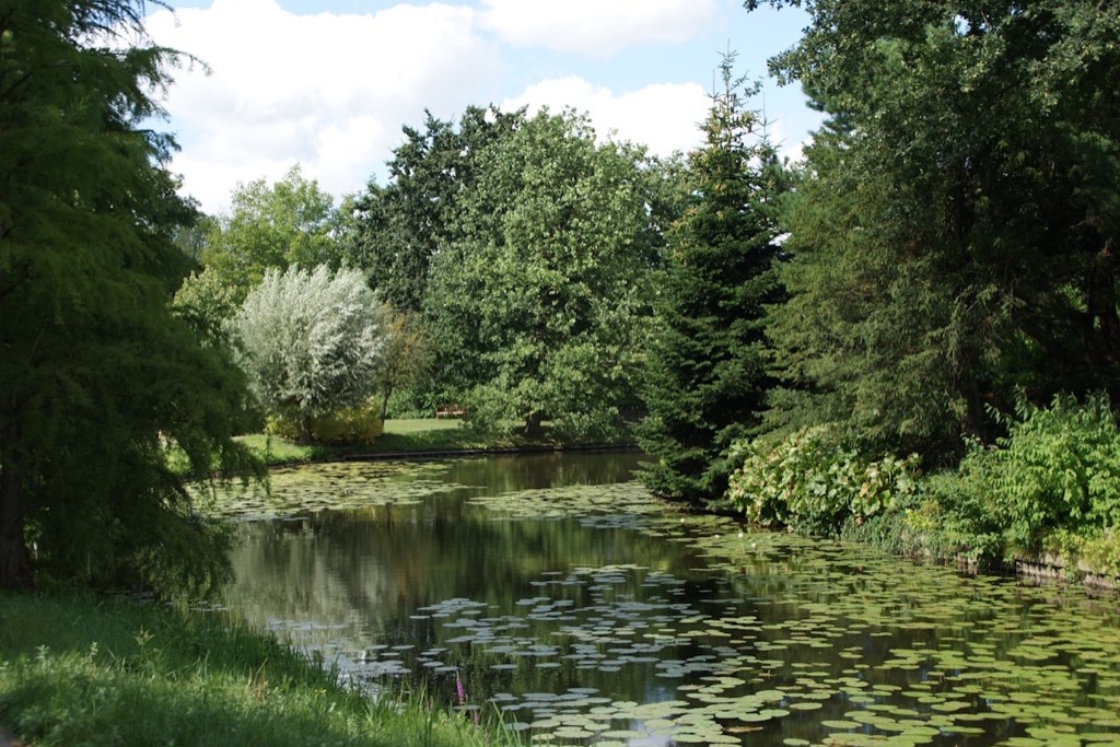 Wilhelminapark en Maliebaan in Utrecht-Oost