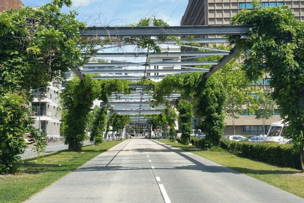 Strijp-S district in Eindhoven during daytime with modern architecture