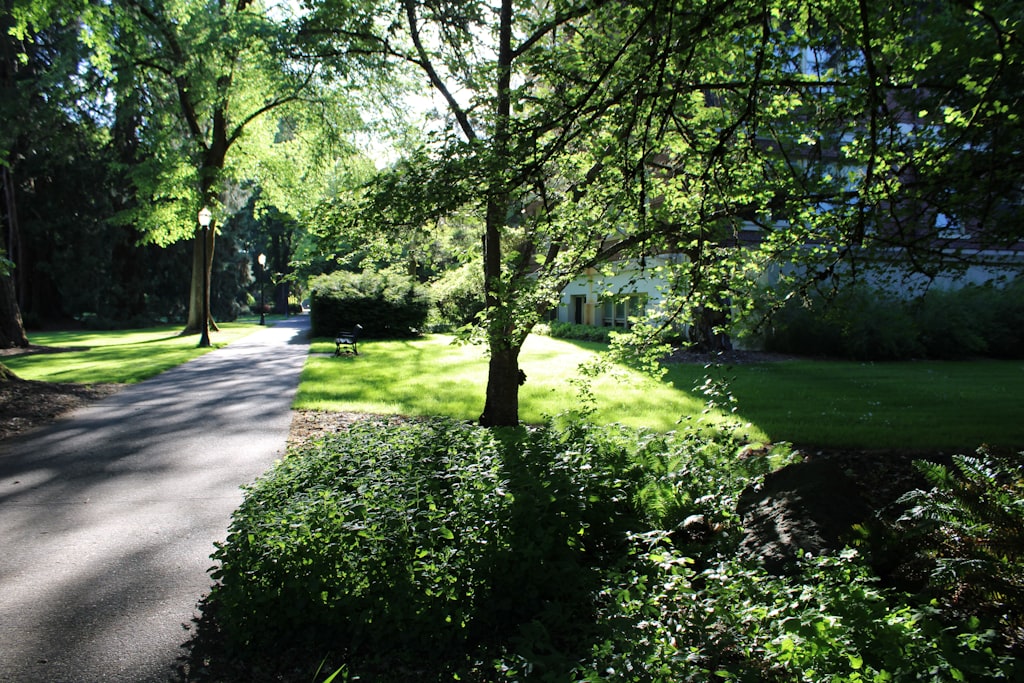 Huurwoning in Leiden-Noord