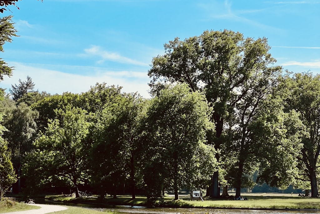 Rental property in Kralingen near Kralingse Bos